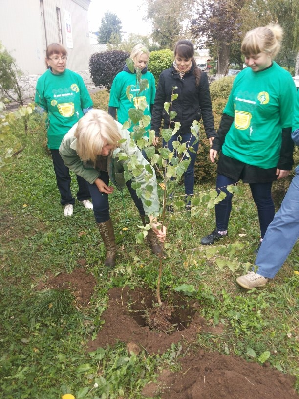 Наш лес 2015 Котельники