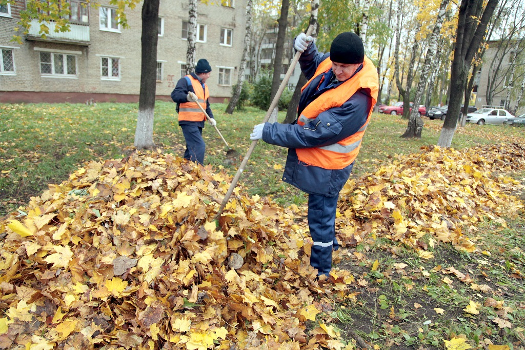 Котельники_листва_уборка