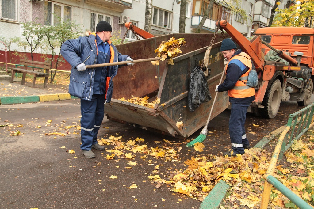 Котельники_листва_уборка